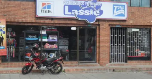 CLINICA VETERINARIA LASSIE BOGOTÁ CLINICA VETERINARIA LASSIE BOGOTÁ